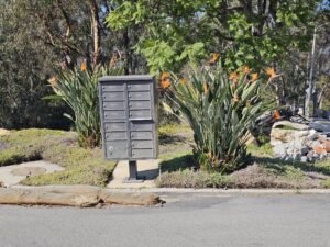 Read more about the article November 1, 2025 – Almost done in Los Angeles