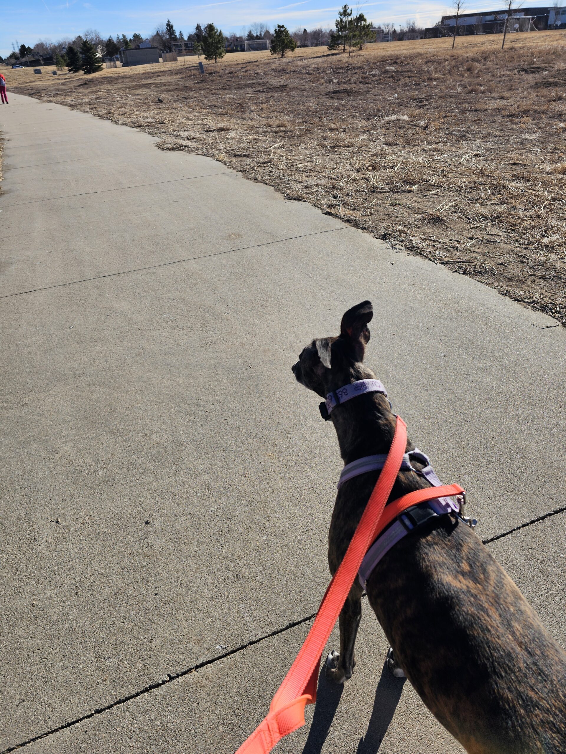 You are currently viewing Day 003 of 2026