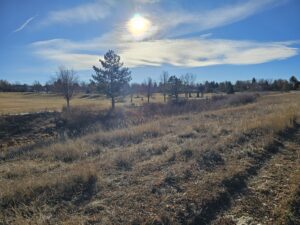 Read more about the article Day 004 of 2026