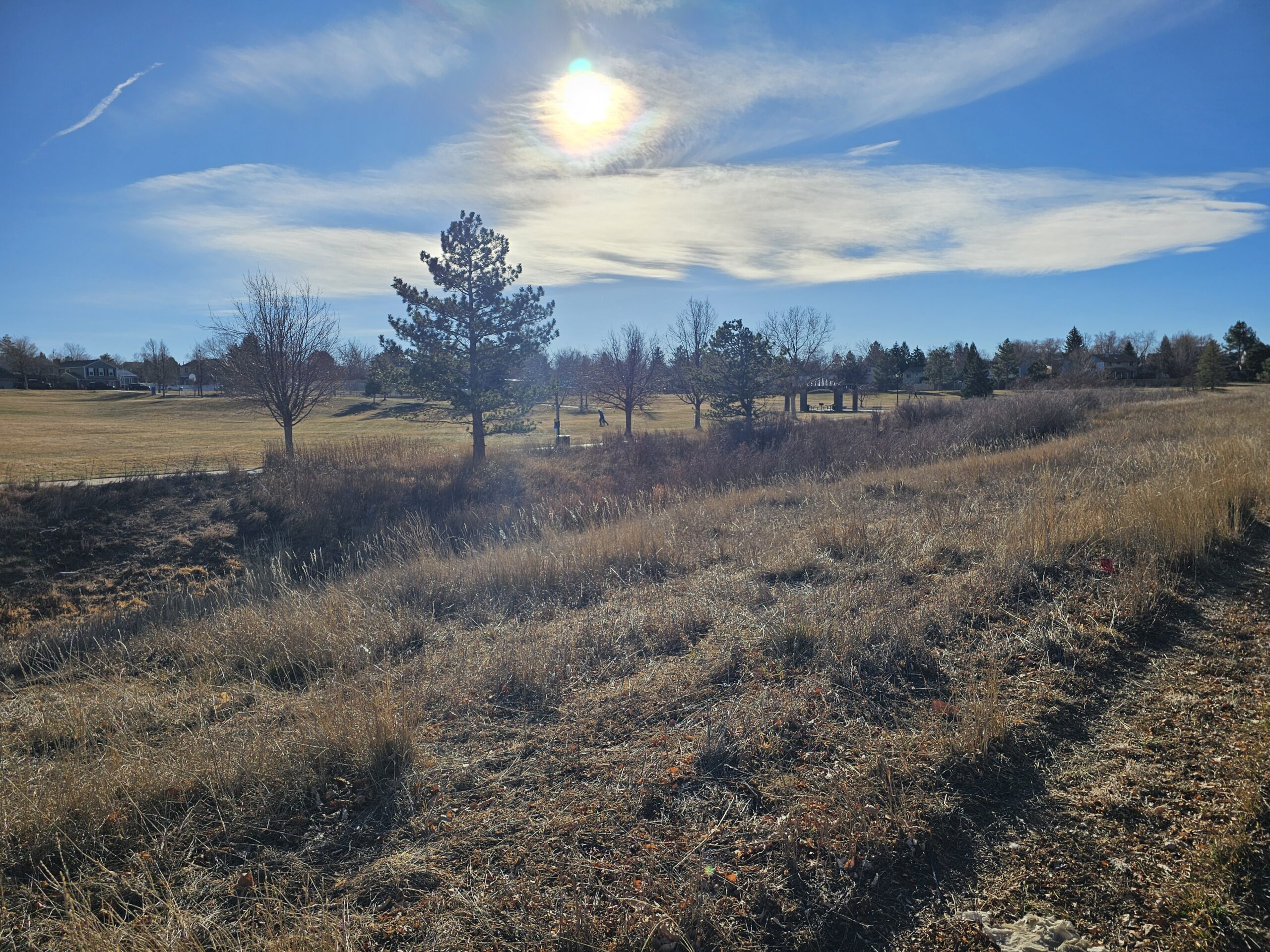 You are currently viewing Day 004 of 2026