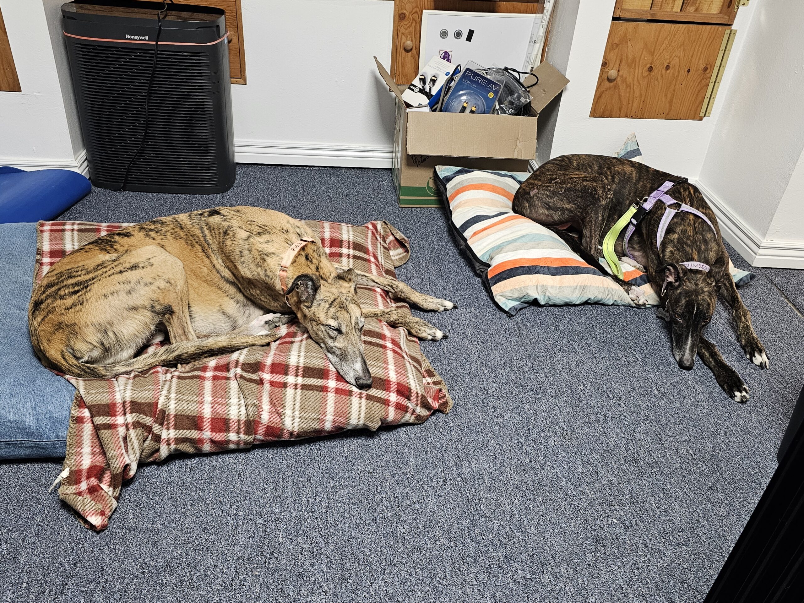 You are currently viewing Day 006 of 2026