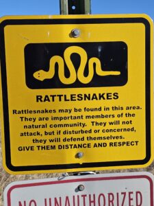 Read more about the article Day 007 of 2026