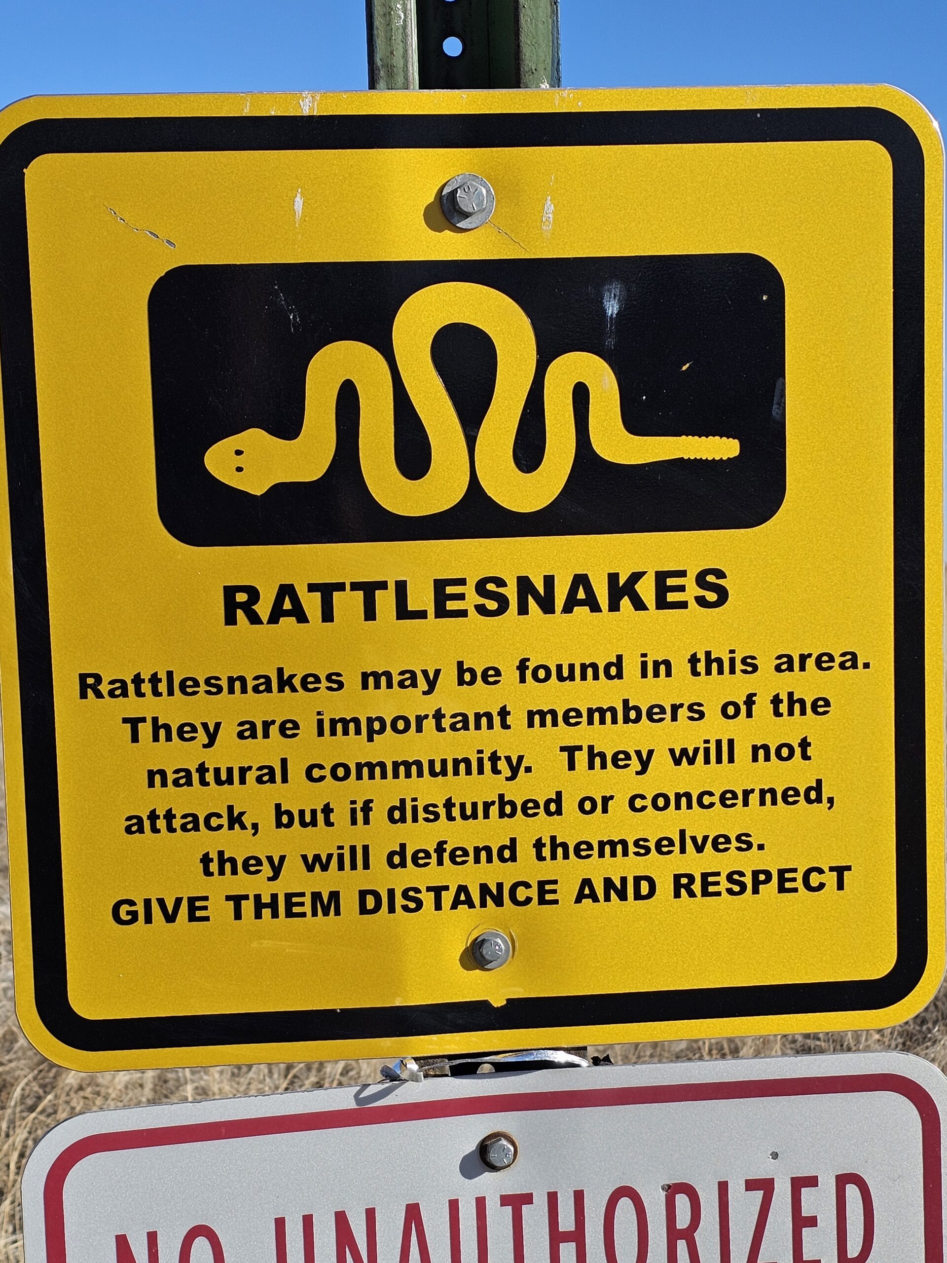 You are currently viewing Day 007 of 2026