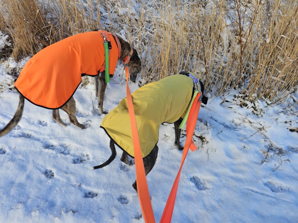 Res and Climber inspecting