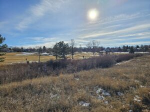 Read more about the article Day 011 of 2026