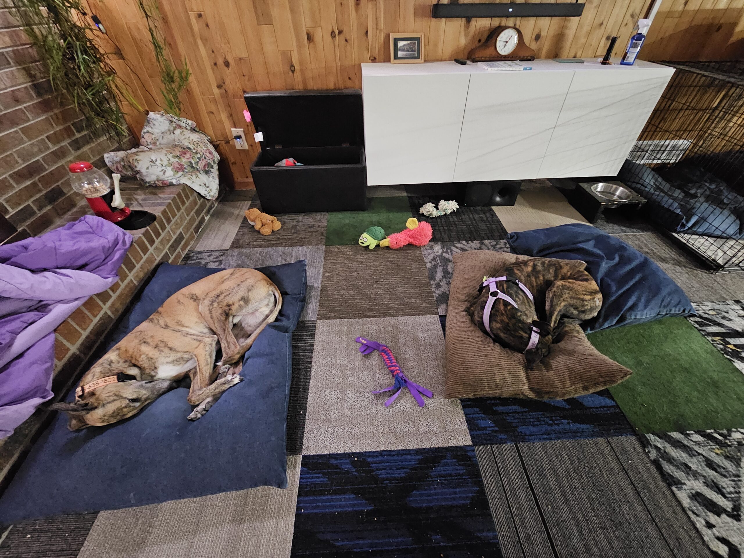 You are currently viewing Day 013 of 2026