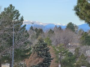 Read more about the article Day 020 of 2026