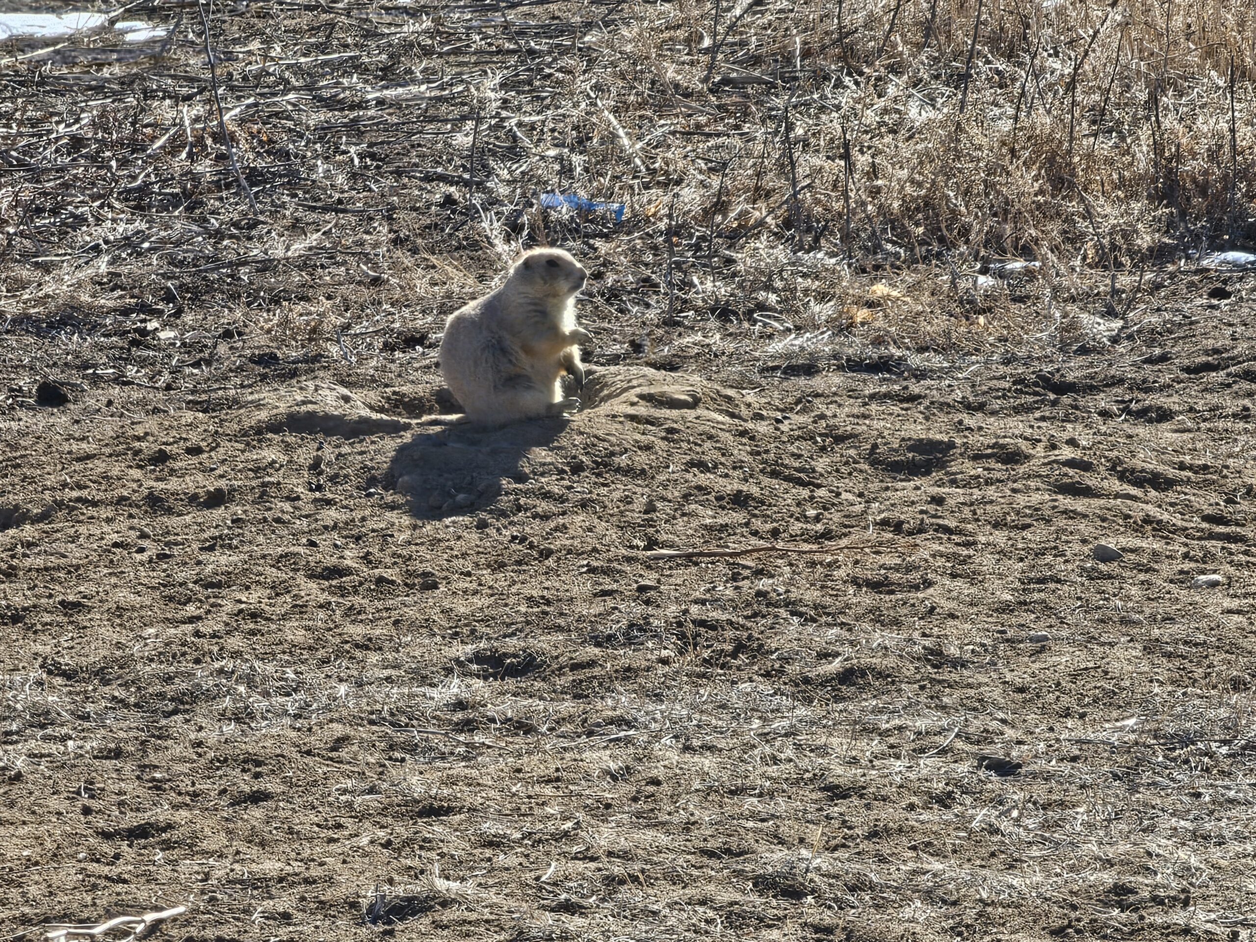 You are currently viewing Day 021 of 2026