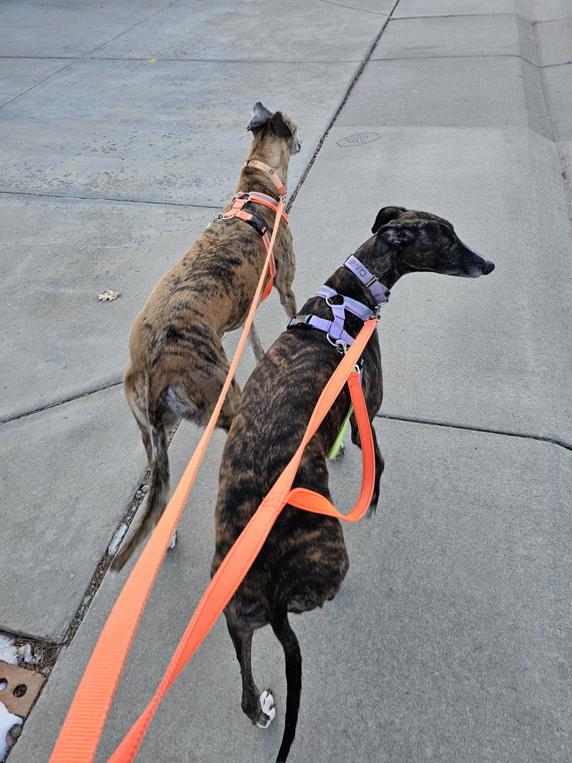 You are currently viewing Day 022 of 2026