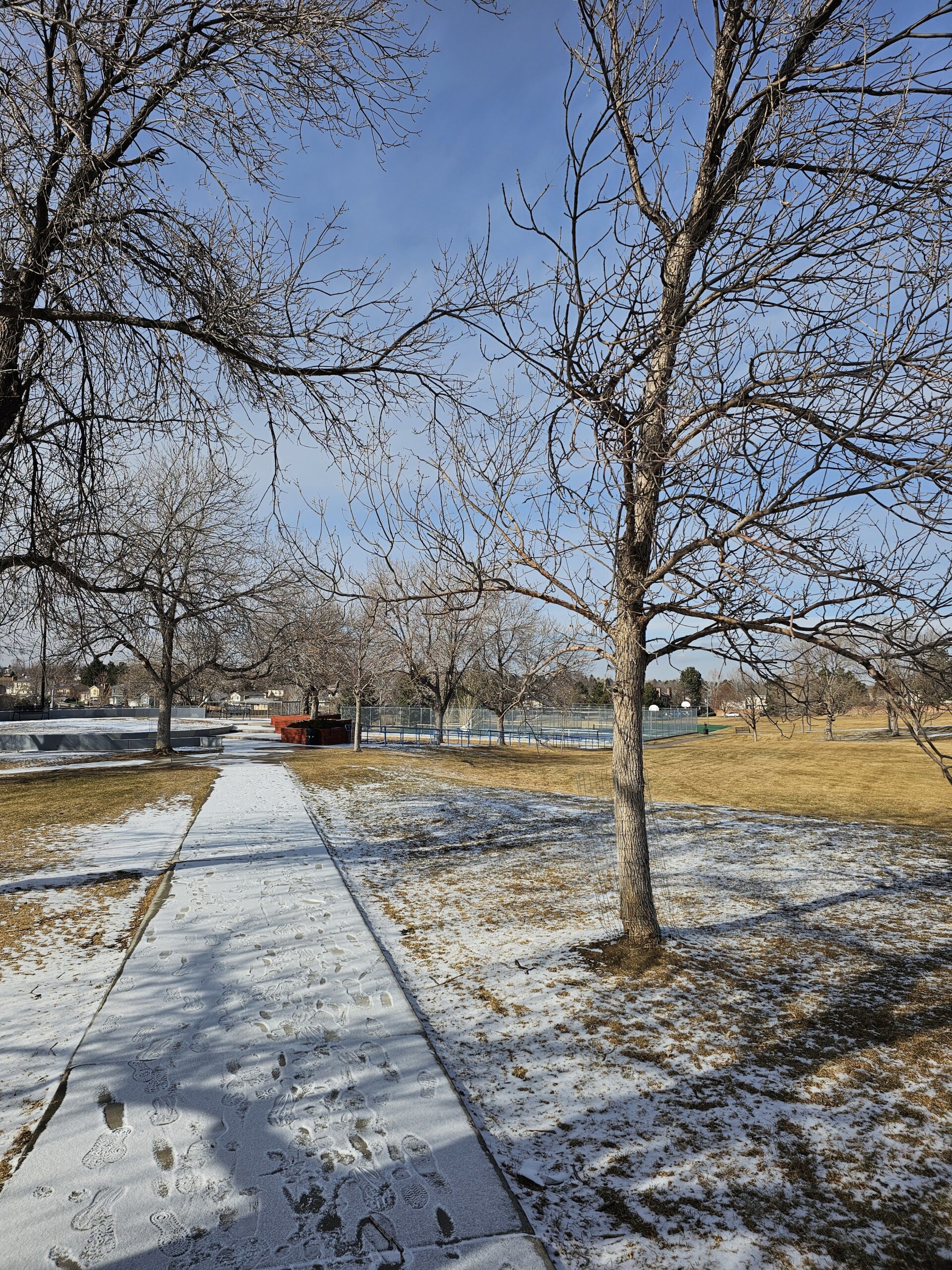 Read more about the article Day 024 of 2026