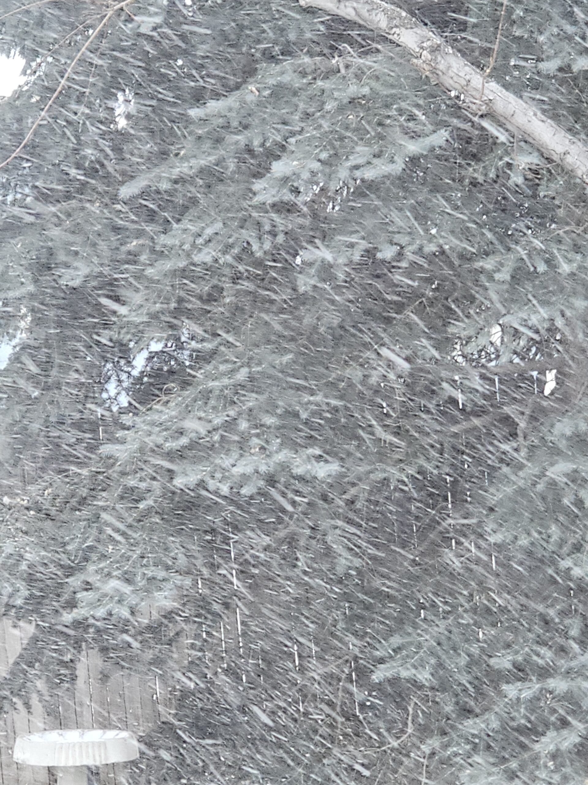 You are currently viewing Day 025 of 2026