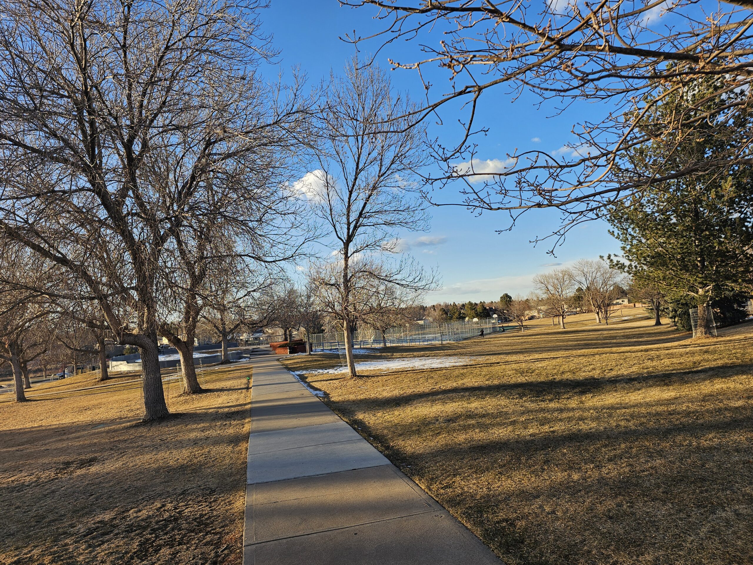 Read more about the article Day 027 of 2026