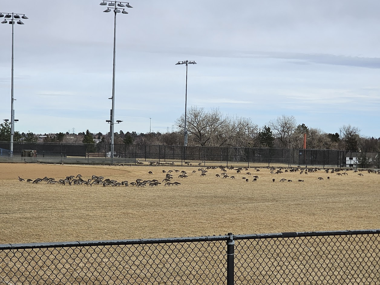 You are currently viewing Nice Day 0011 of 2026