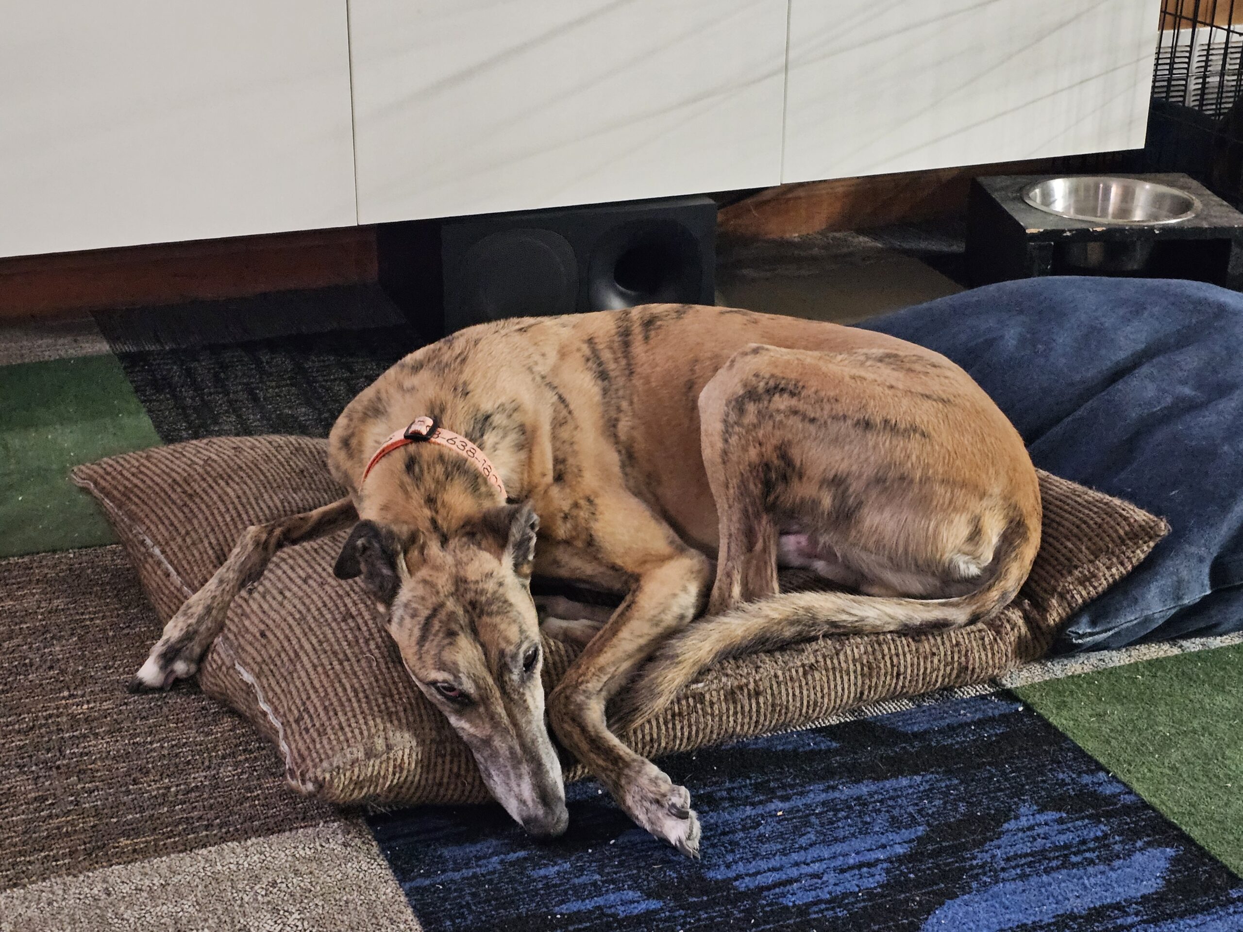 You are currently viewing Day 036 of 2026