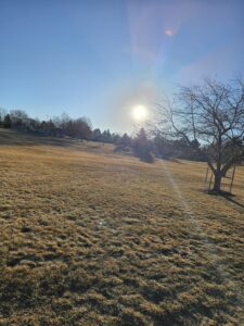 Read more about the article Day 037 of 2026