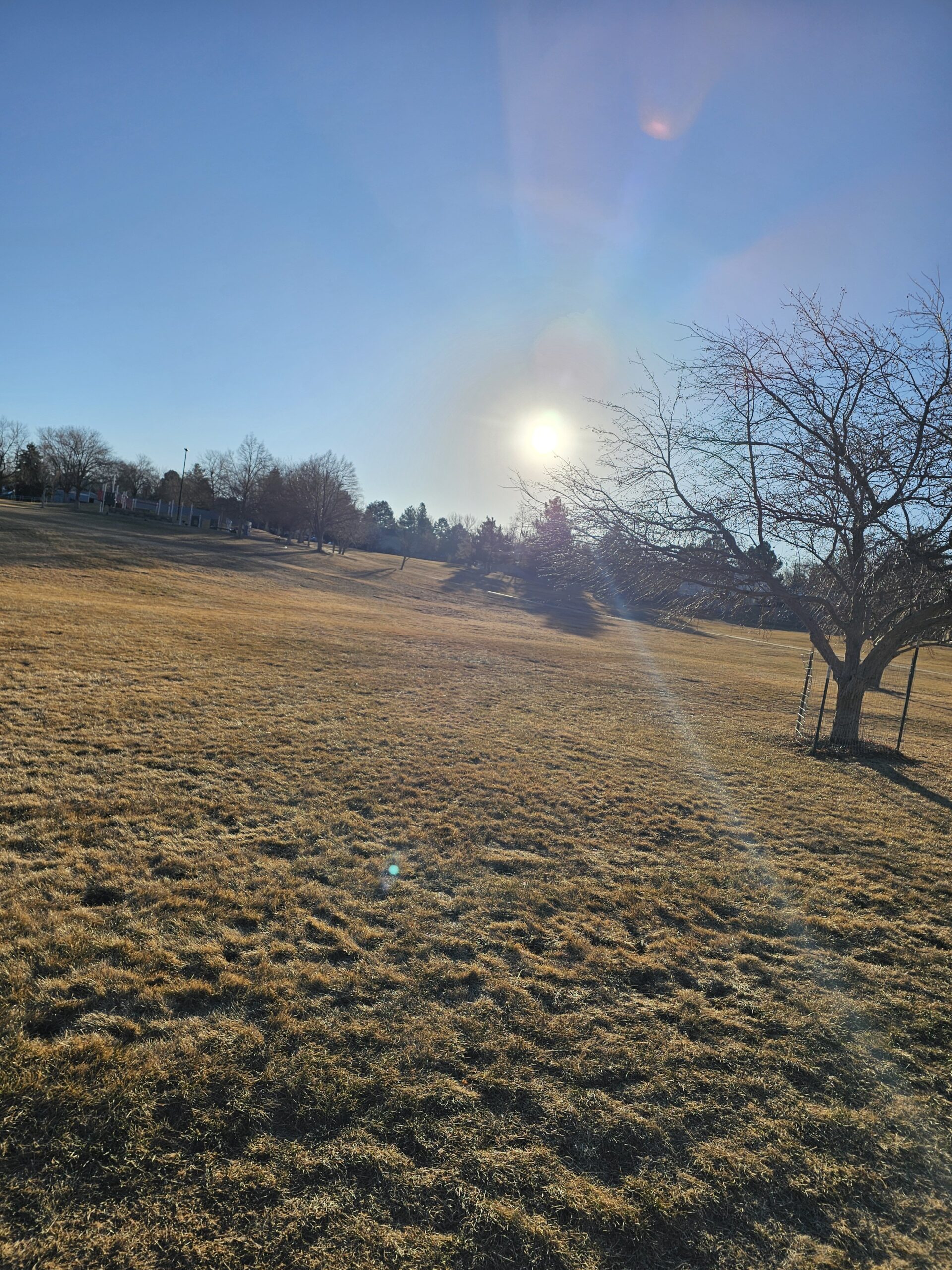 You are currently viewing Day 037 of 2026