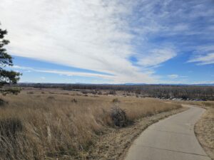 Read more about the article Day 038 of 2026