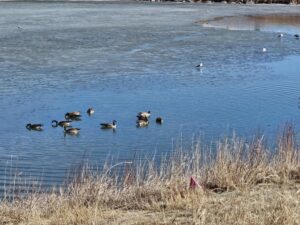 Read more about the article Day 039 of 2026