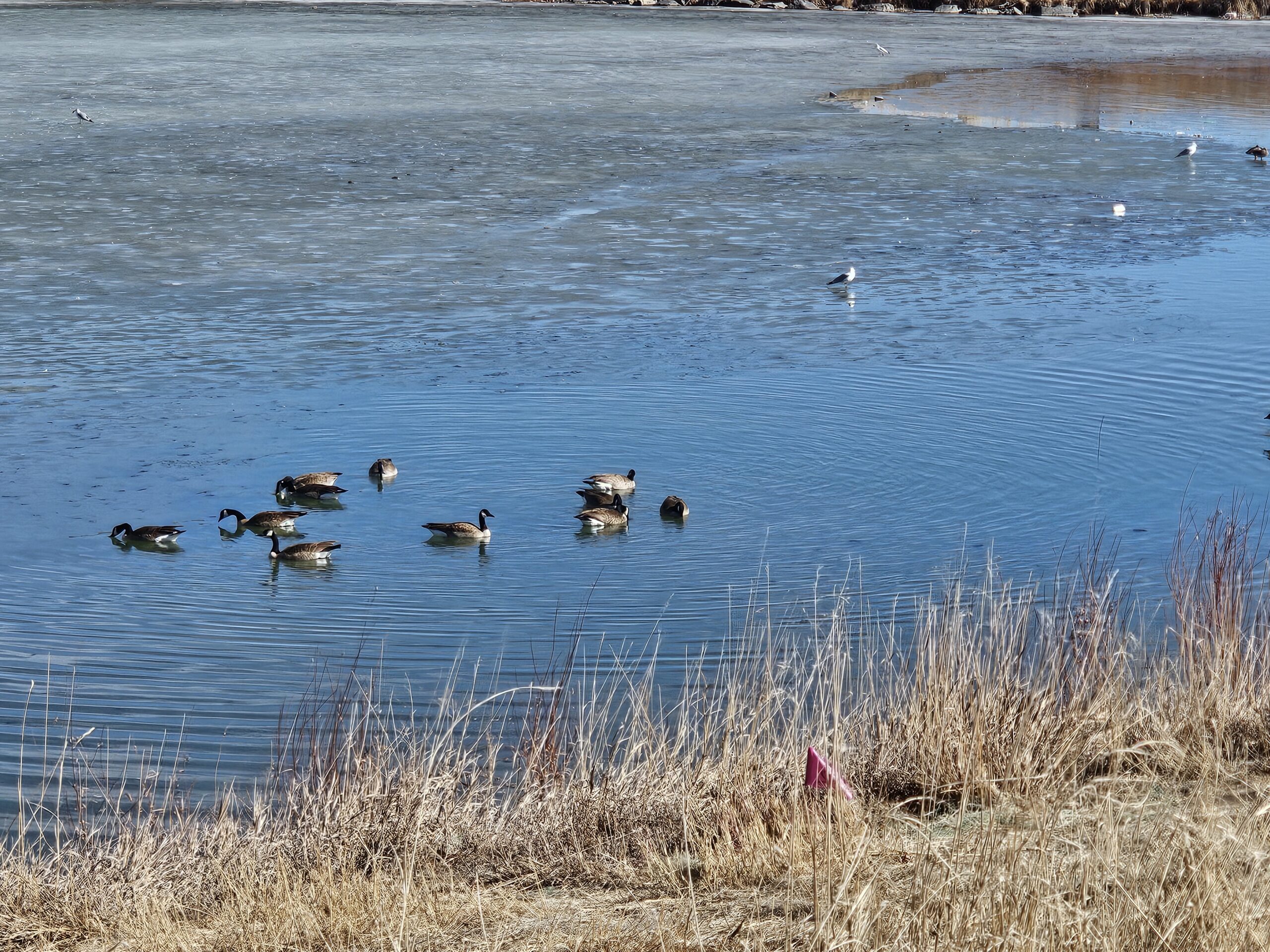 You are currently viewing Day 039 of 2026