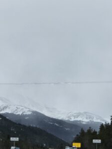 Read more about the article Day 042 of 2026