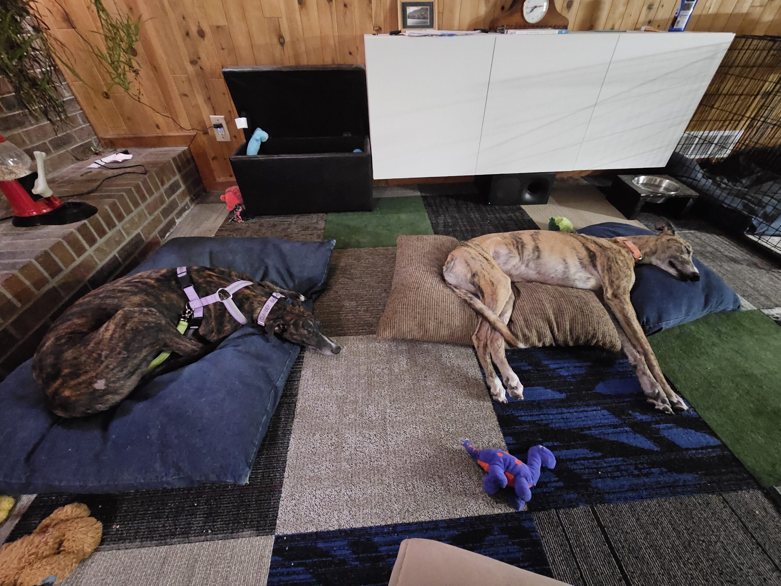 Read more about the article Day 044 of 2026