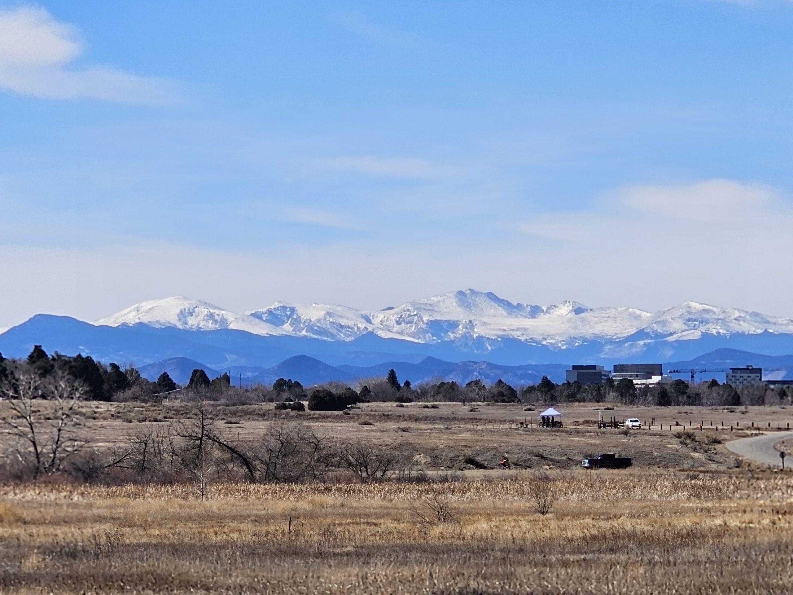 Read more about the article Day 046 of 2026