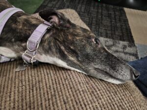 Read more about the article Day 048 of 2026