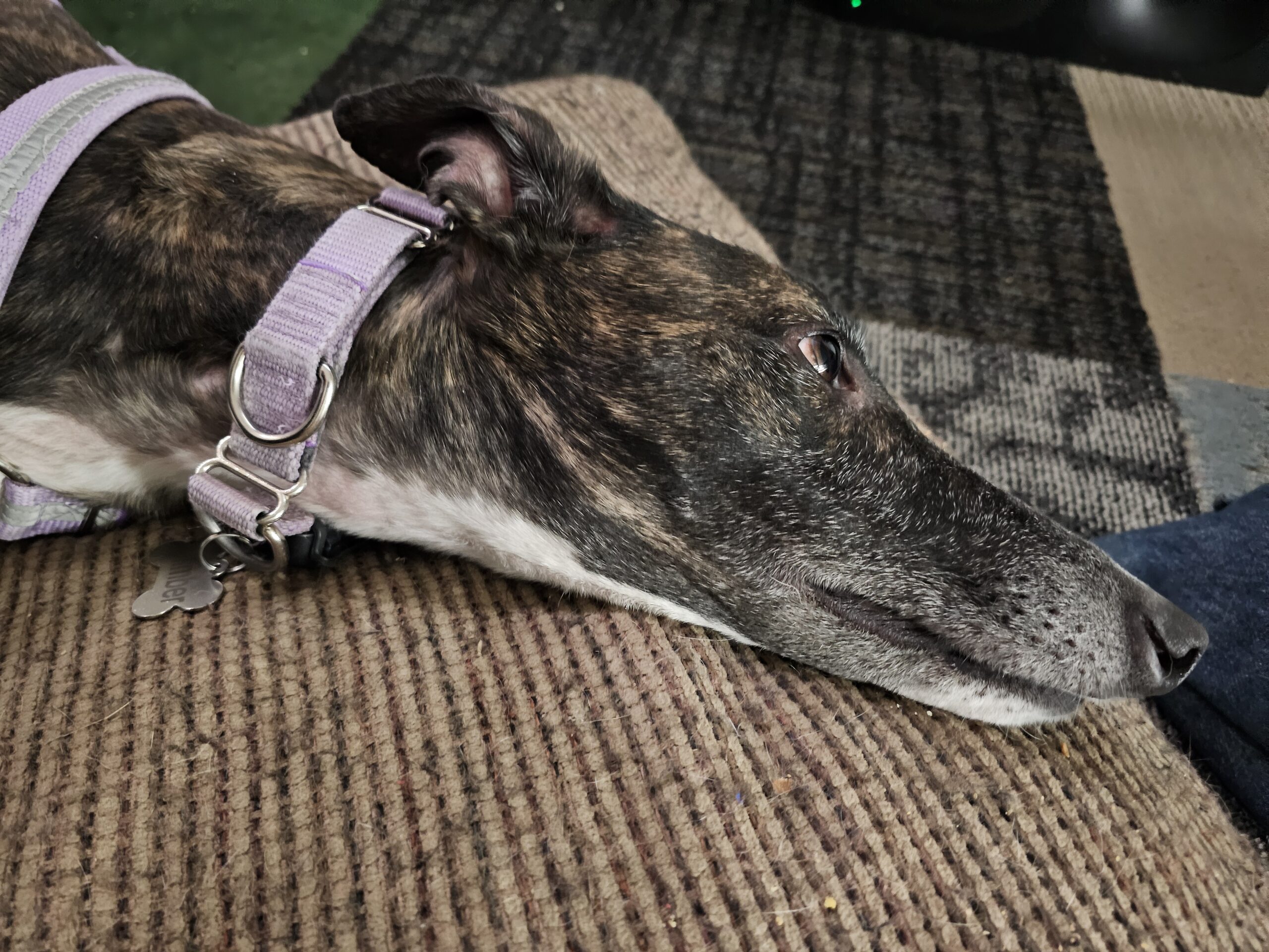 Read more about the article Day 048 of 2026