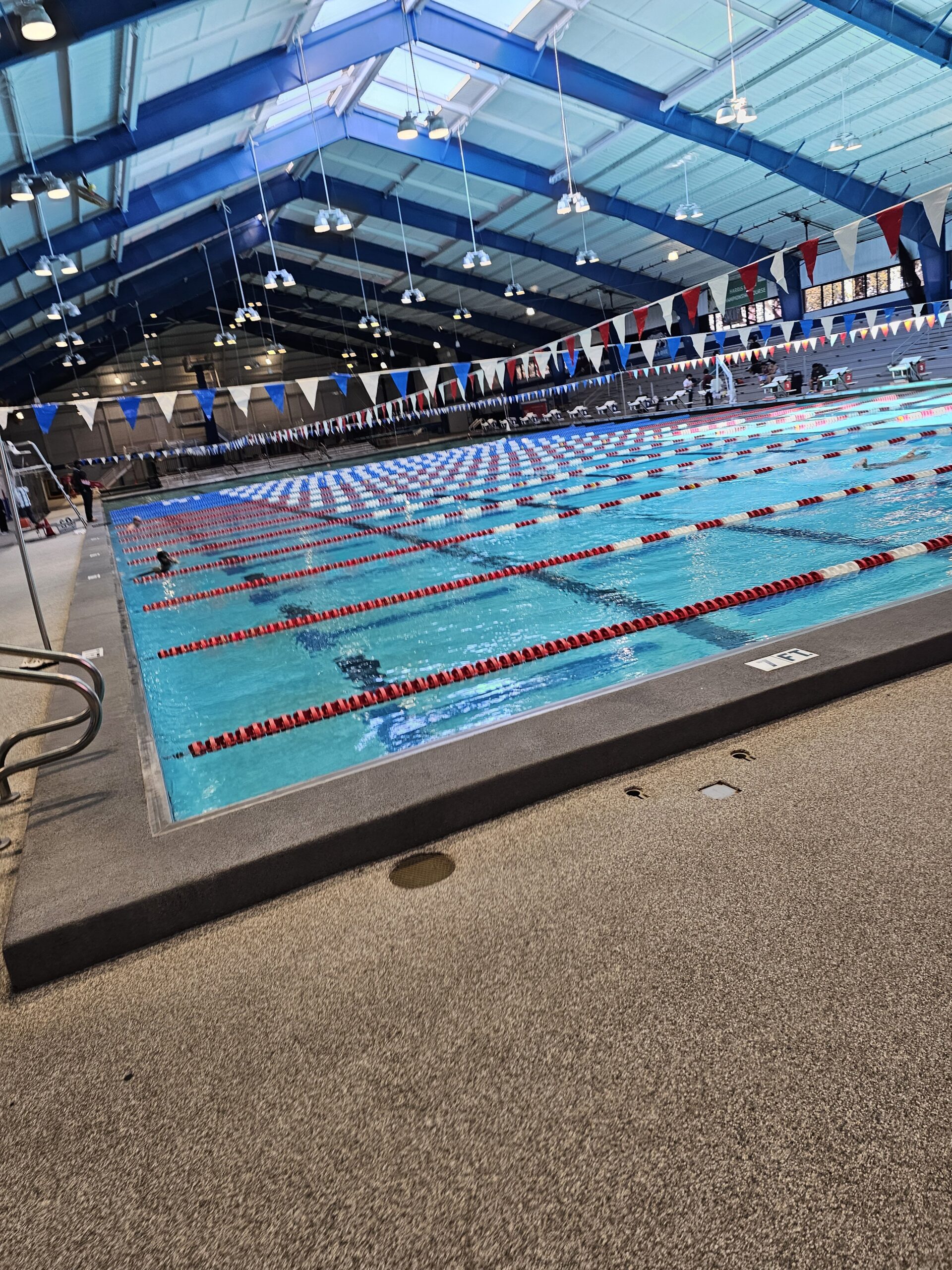 Read more about the article Day 055 of 2026