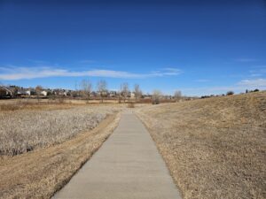 Read more about the article Day 058 of 2026