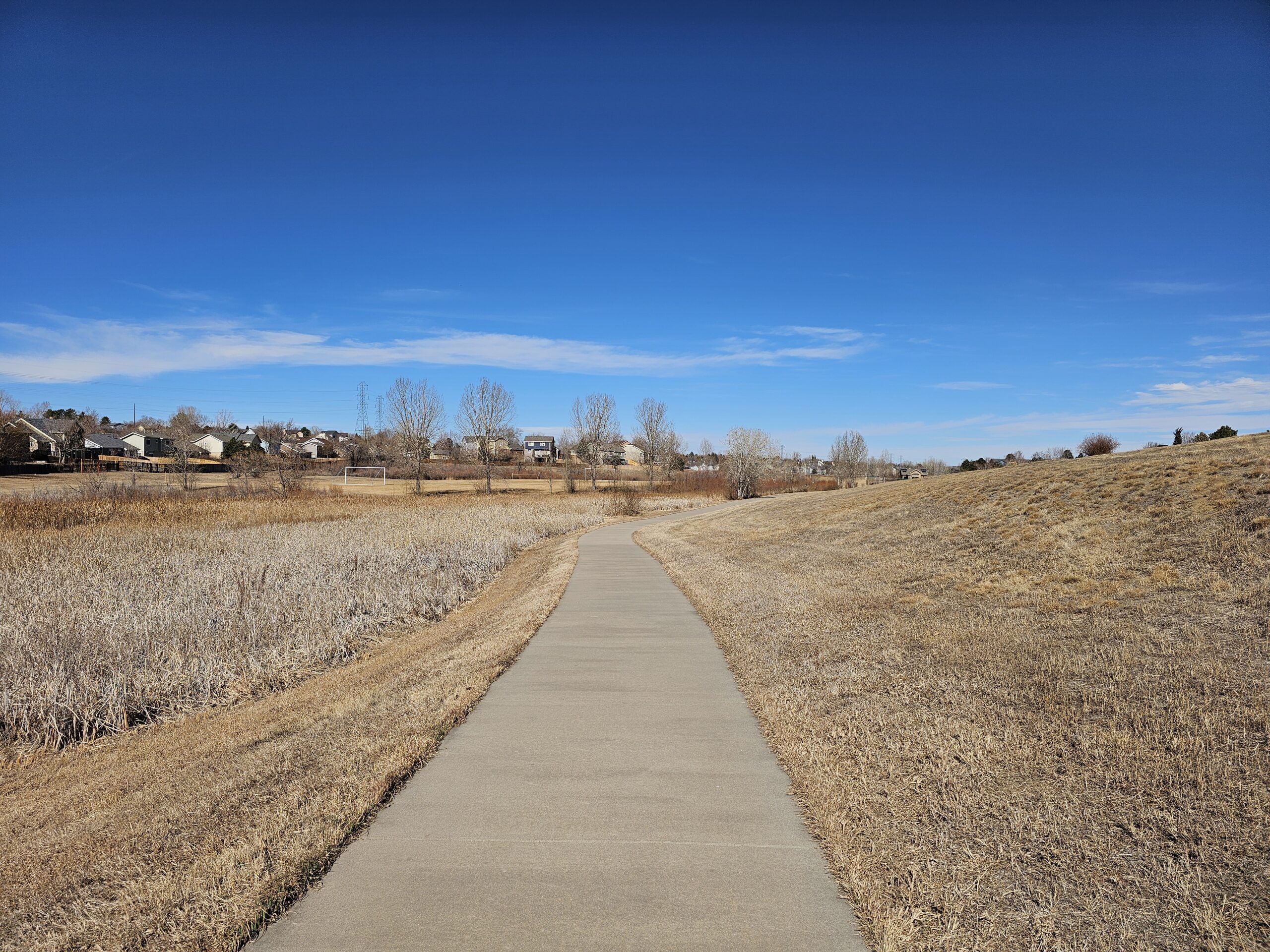 You are currently viewing Day 058 of 2026