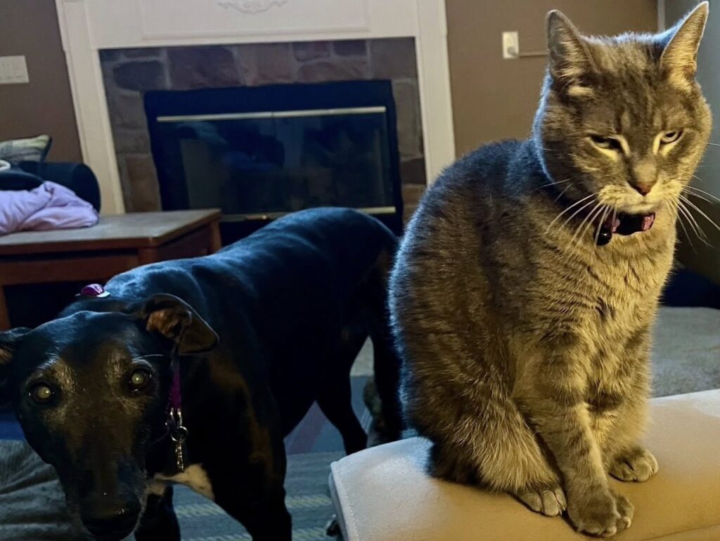 Snack time with Lady