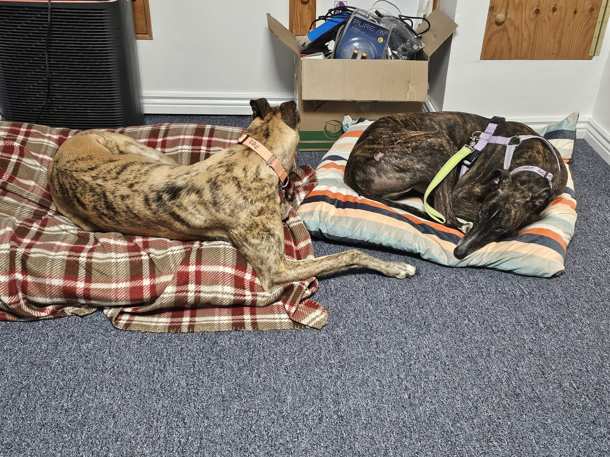 Read more about the article Day 061 of 2026 – March 2nd