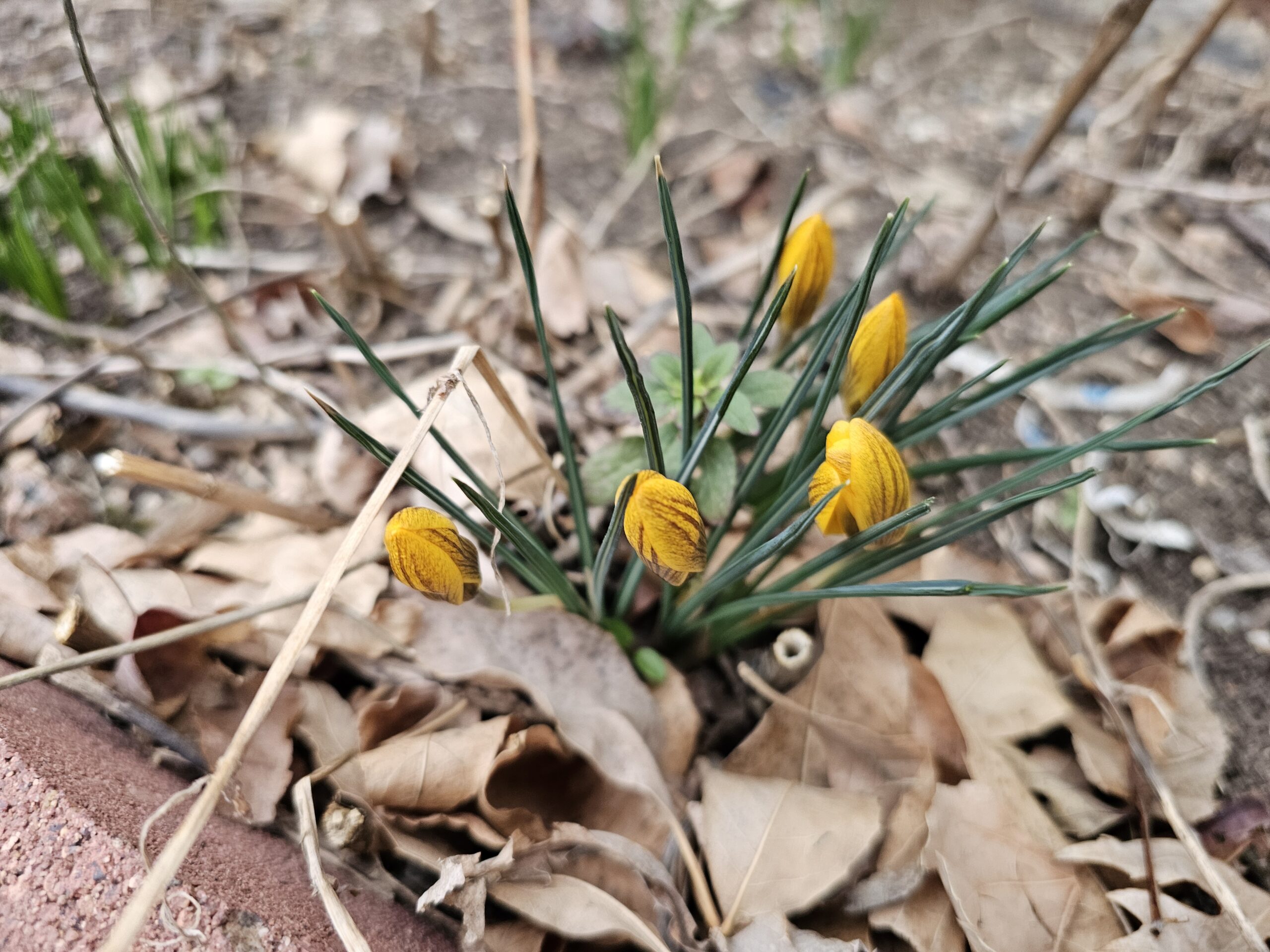 Read more about the article Day 062 of 2026 – March 3rd