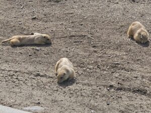 Read more about the article Day 077 of 2026 – March 18th