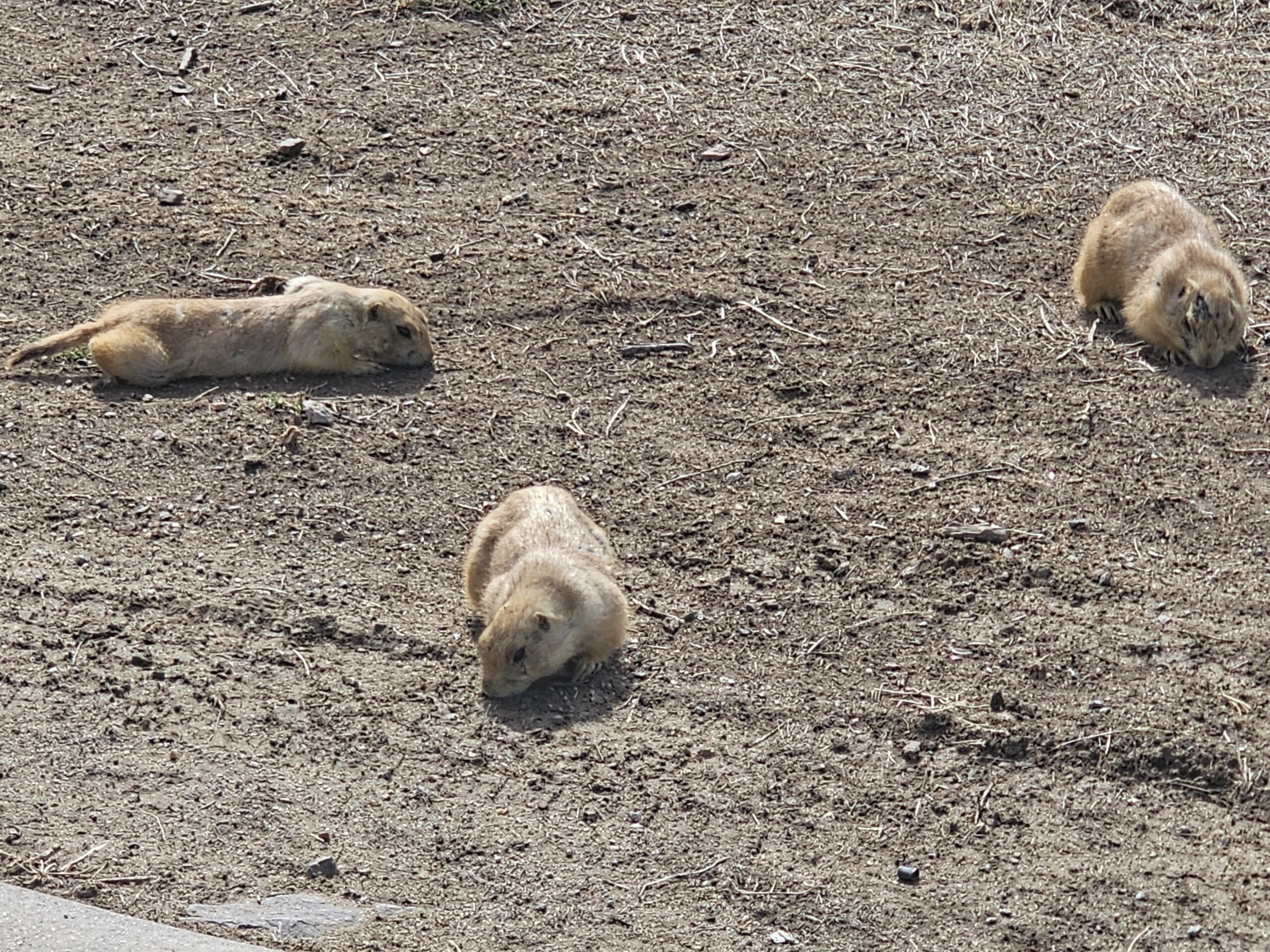 You are currently viewing Day 077 of 2026 – March 18th