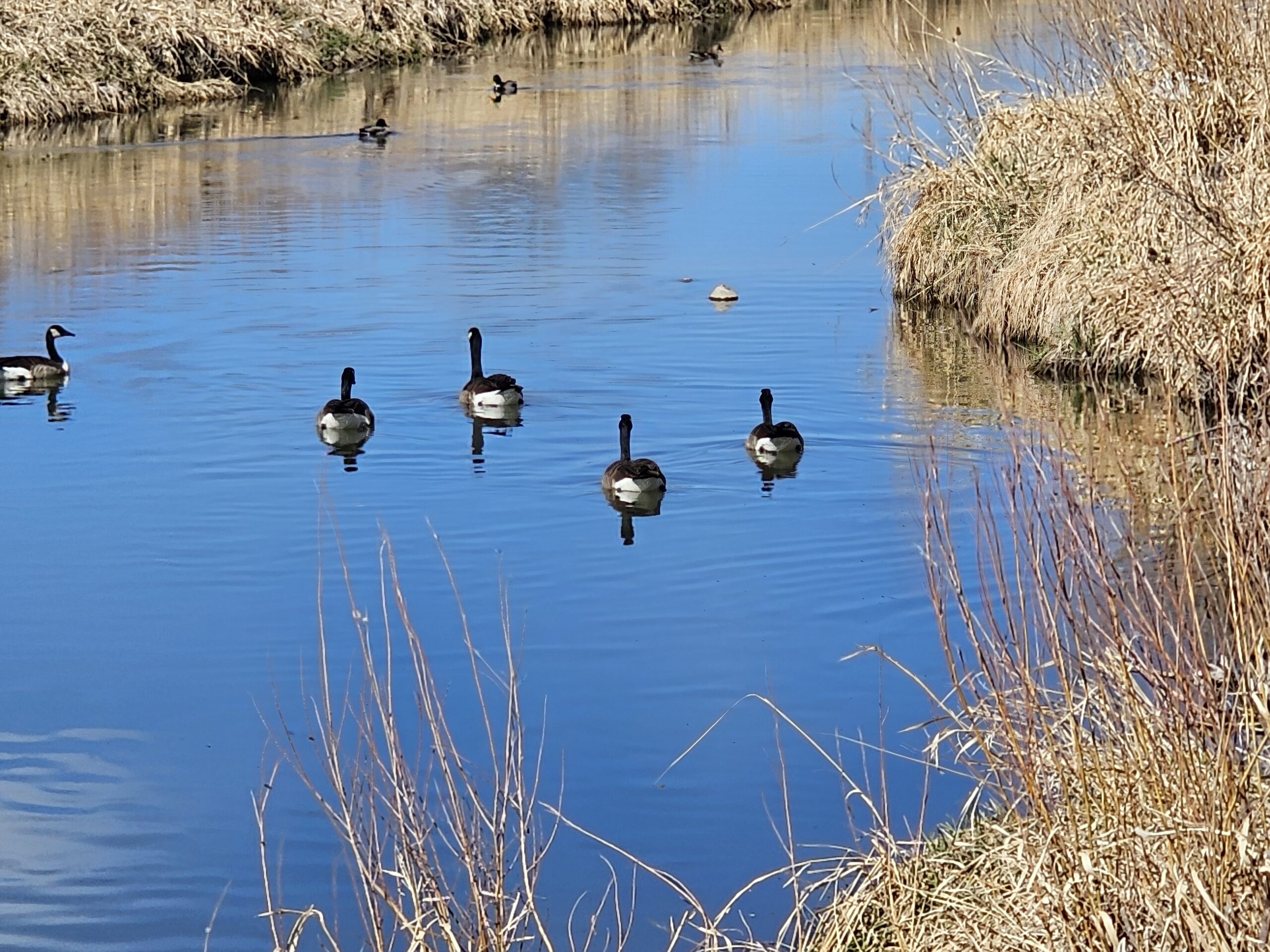 You are currently viewing Day 078 or 2026 – March 19th