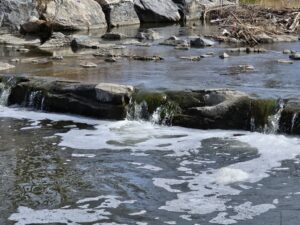 Read more about the article Day 080 of 2026 – March 21st