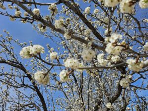 Read more about the article Day 081 of 2026 – March 22nd