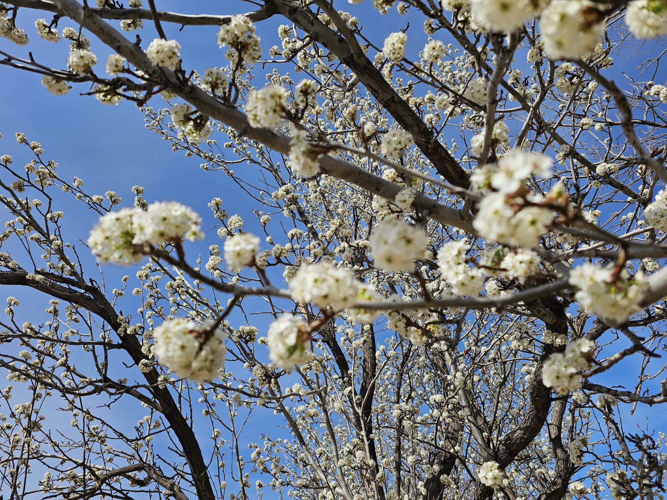 You are currently viewing Day 081 of 2026 – March 22nd