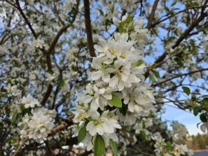 Read more about the article Day 087 of 2026 – March 28th