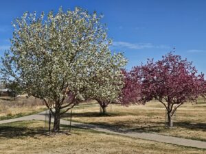 Read more about the article Day 088 of 2026 – March 29th