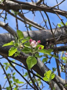 Read more about the article Day 089 of 2026 – March 30th