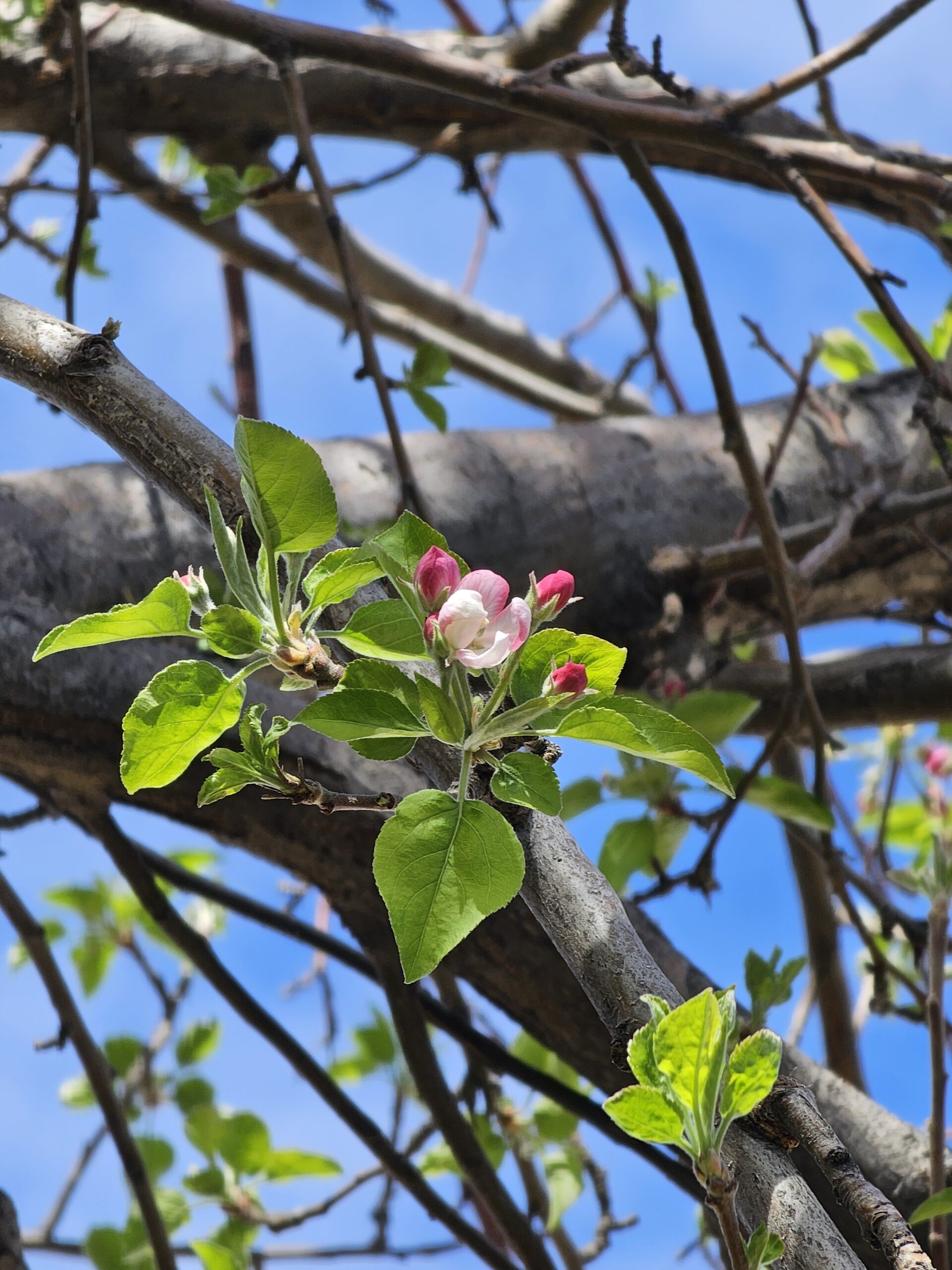 Read more about the article Day 089 of 2026 – March 30th