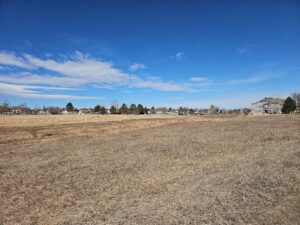 Read more about the article Day 076 of 2026 – March 17th