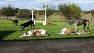 Read more about the article Day 067 of 2026 – March 8th