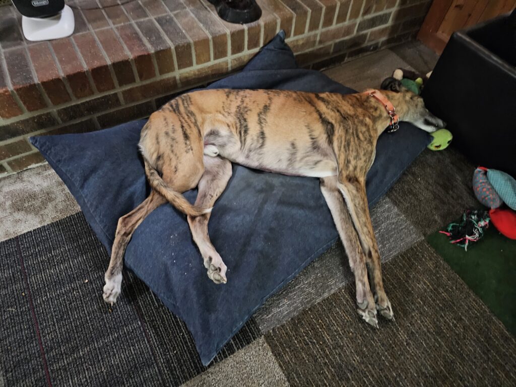 Photo of Res Napping