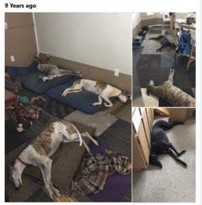 Read more about the article Day 094 of 2026 – April 4th