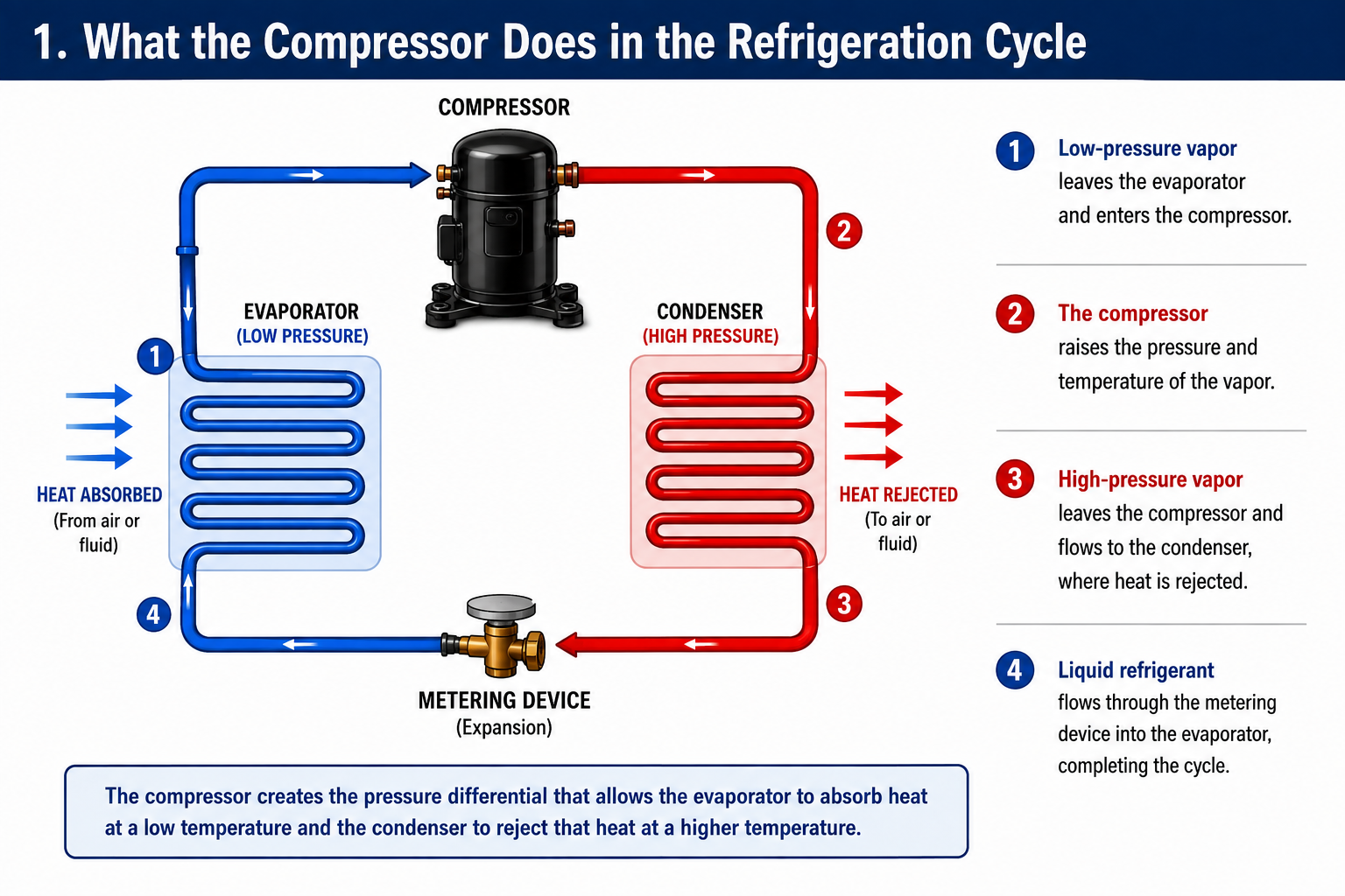 Diagram showing the compressor creating the pressure differential in the refrigeration cycle.