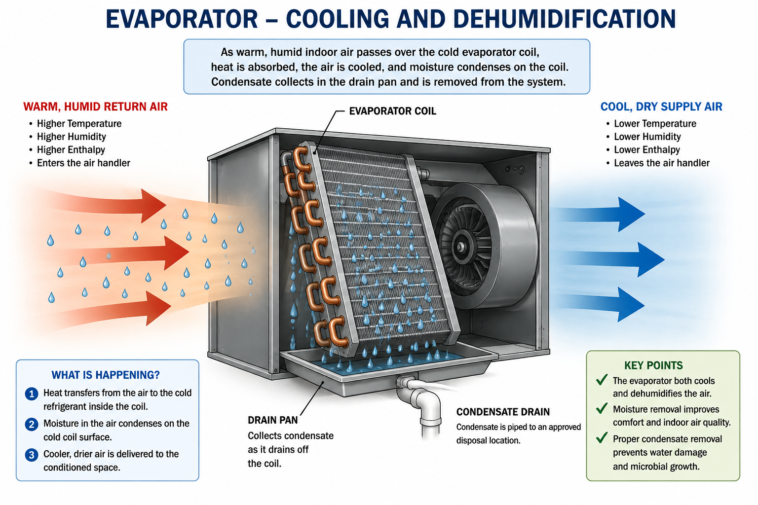 Evaporator diagram showing warm humid air entering, cooler drier air leaving, and moisture condensing on the evaporator coil.